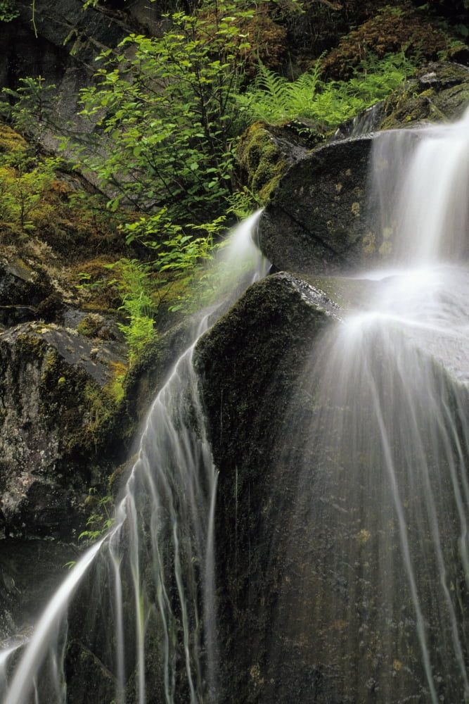 Waterfall Flows Down Cliff In Leconte Bay Se Ak Summer Tongass Nf Stikine Leconte Wilderness Canvas Art - Jim Barr Design Pics (11 x 17)