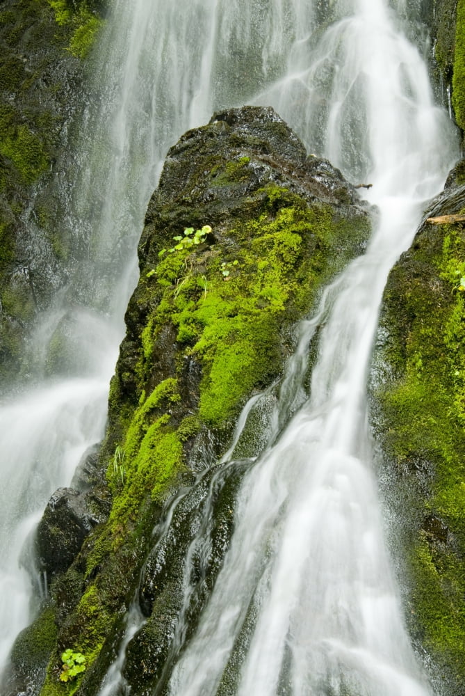 Waterfall Flows Over Green Foliage And Rock Outcrop Cordova Southcentral Alaska Summer Canvas Art - Cathy Hart Design Pics (11 x 17)