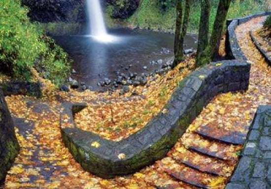 Waterfall Foliage Canvas Art - Dennis Frates (20 x 28)