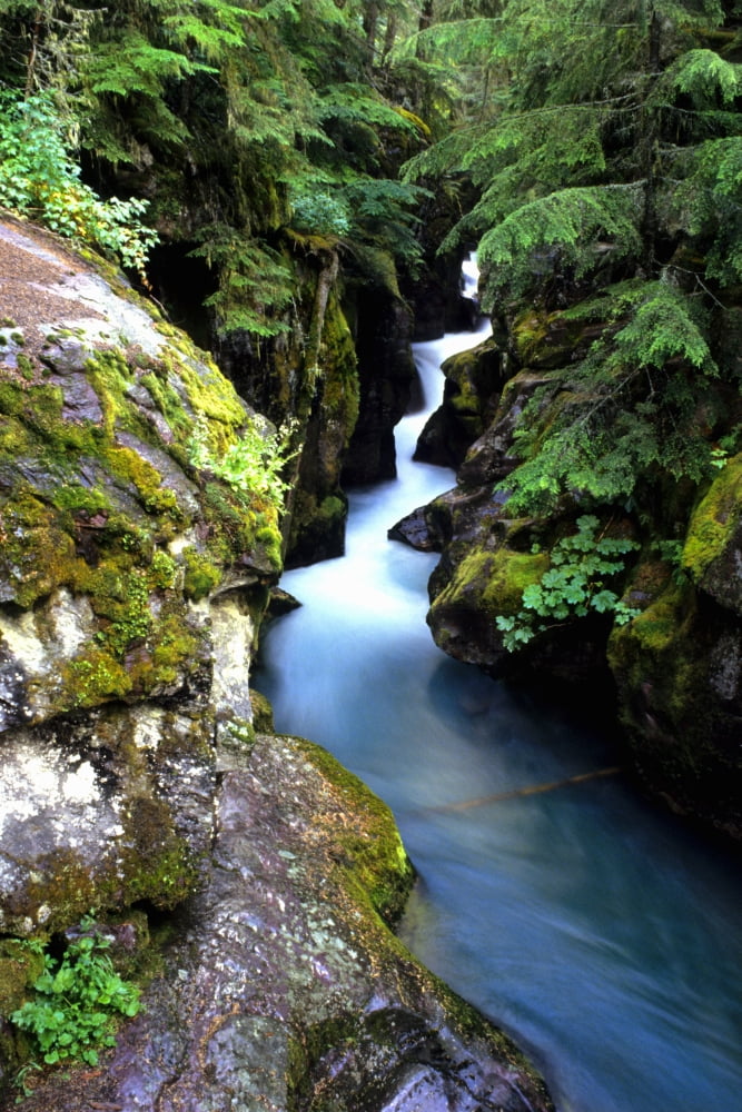 Waterfall Glacier National Park Montana Canvas Art - Bill Bachmann Design Pics (24 x 36)