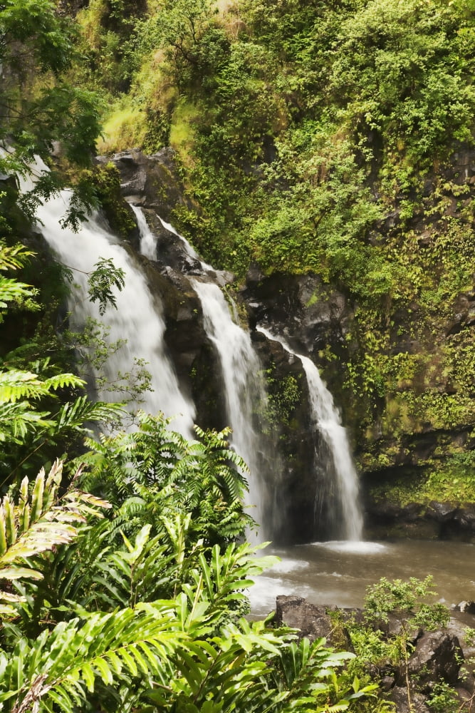 Waterfall Hana Maui Hawaii United States of America Canvas Art - Ron Dahlquist Design Pics (24 x 38)