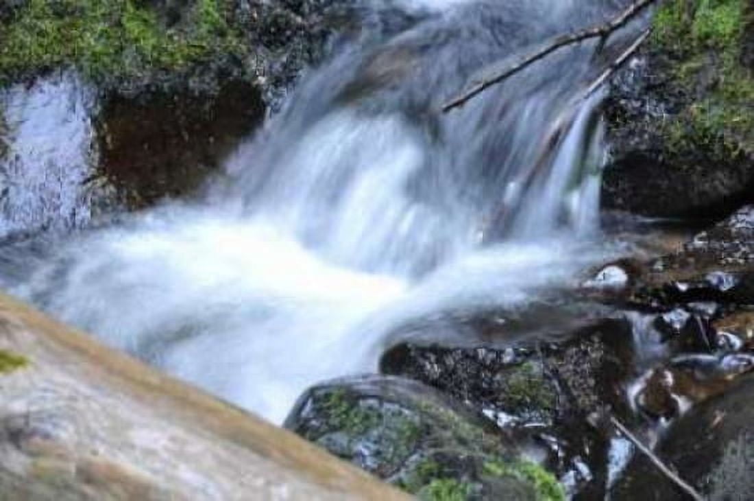 Waterfall I Canvas Art - Logan Thomas (20 x 28)