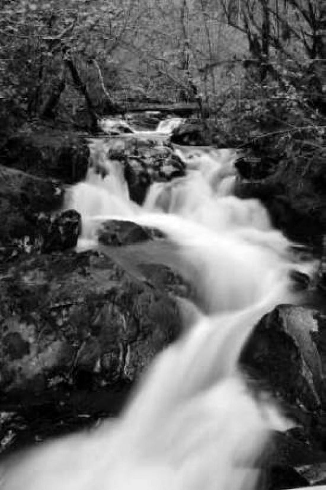 Waterfall II Canvas Art - Brian Moore (12 x 18)