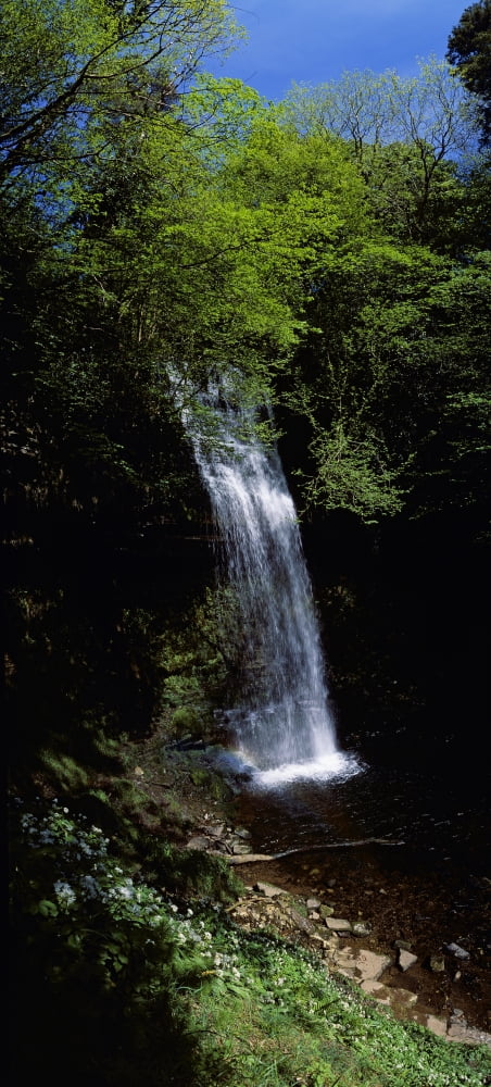 Waterfall In A Forest Glencar Waterfall County Leitrim Republic Of Ireland Canvas Art - The Irish Image Collection Design Pics (20 x 44)