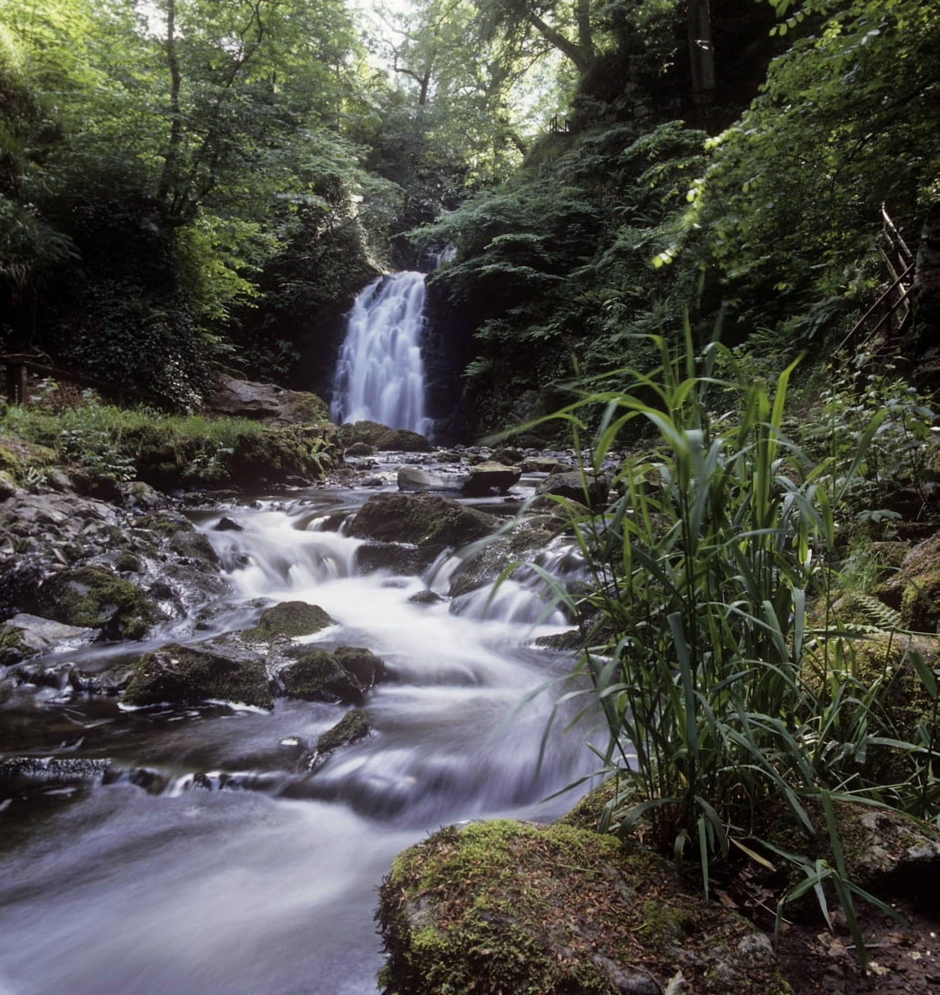 Waterfall In A Forest Glenoe Waterfall Glenoe County Antrim Northern Ireland Canvas Art - The Irish Image Collection Design Pics (26 x 28)