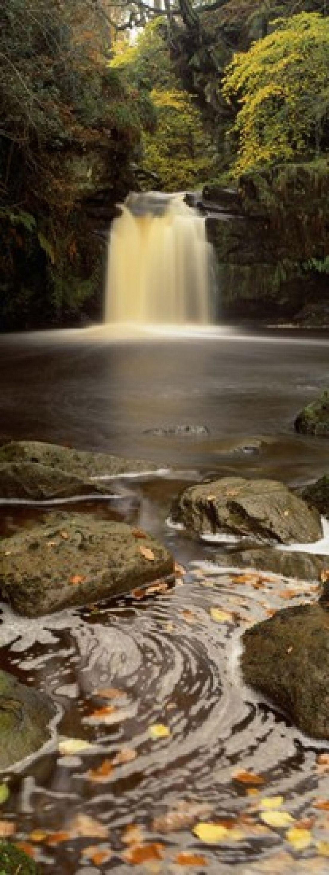 Waterfall In A Forest Thomason Foss Goathland North Yorkshire England United Kingdom Canvas Art - Panoramic Images (15 x 6)