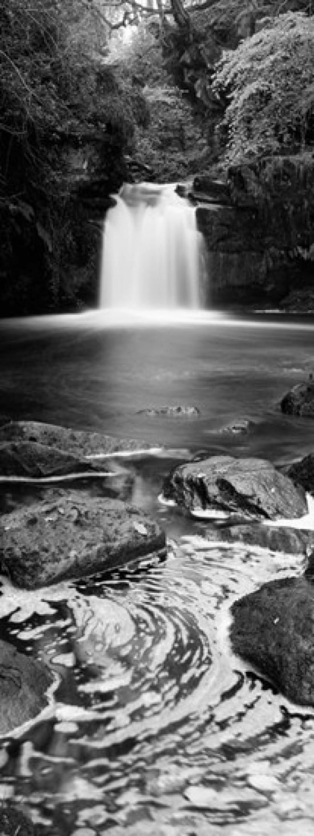 Waterfall In A Forest Thomason Foss Goathland North Yorkshire England United Kingdom Canvas Art - Panoramic Images (30 x 12)