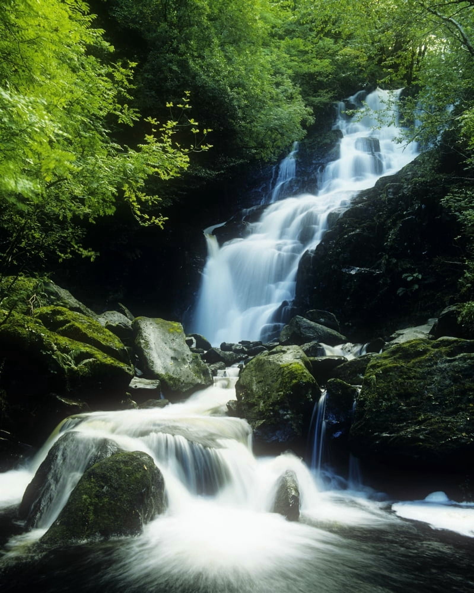 Waterfall In Killarney National Park Ireland Canvas Art - The Irish Image Collection Design Pics (12 x 15)