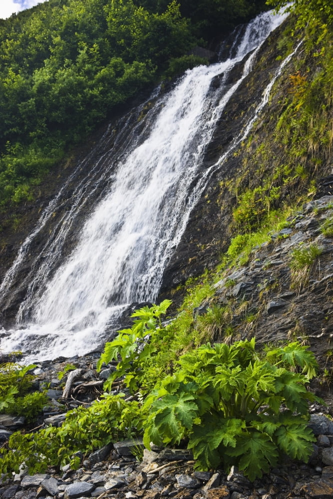 Waterfall In Shoup Bay State Marine Park Prince William Sound Southcentral Alaska Summer Canvas Art - Kevin Smith Design Pics (12 x 19)