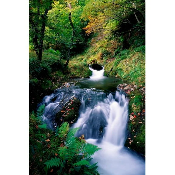 Waterfall In The Woods Ireland Poster Print