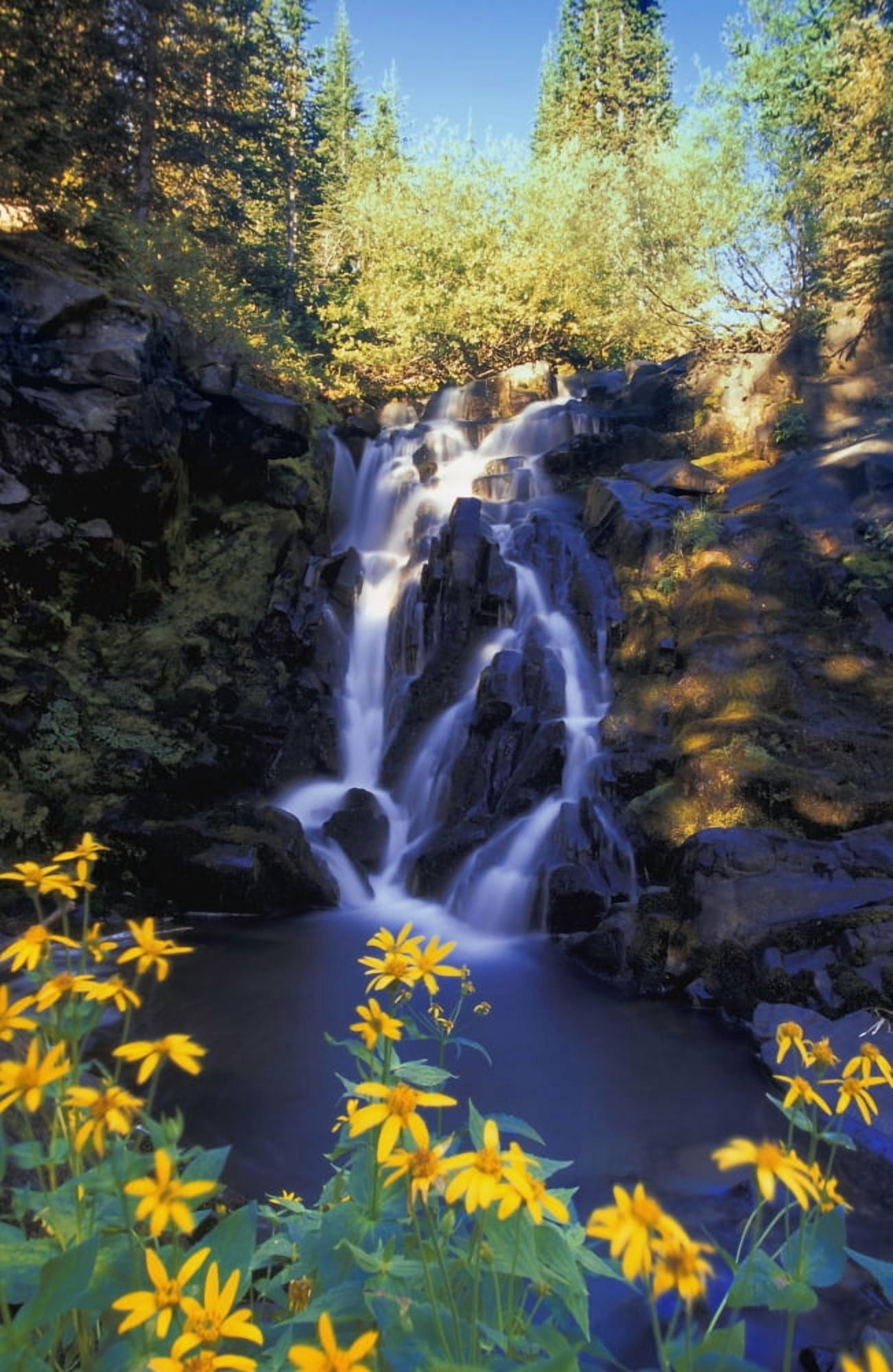 Waterfall Kootenays British Columbia Canada Canvas Art - Carson Ganci Design Pics (11 x 17)