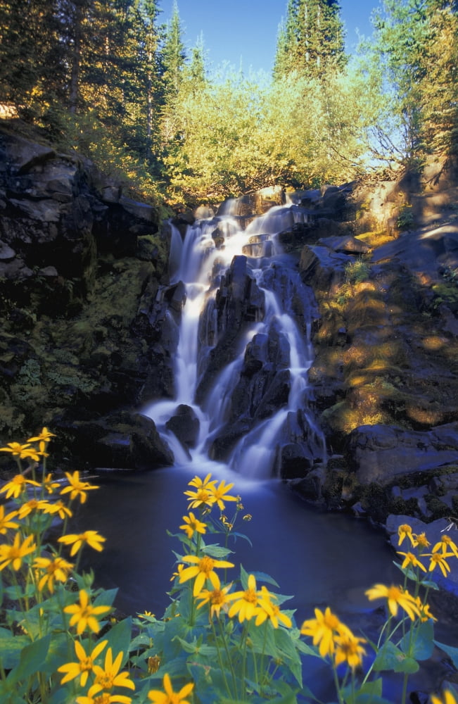Waterfall Kootenays British Columbia Canada Canvas Art - Carson Ganci Design Pics (22 x 34)