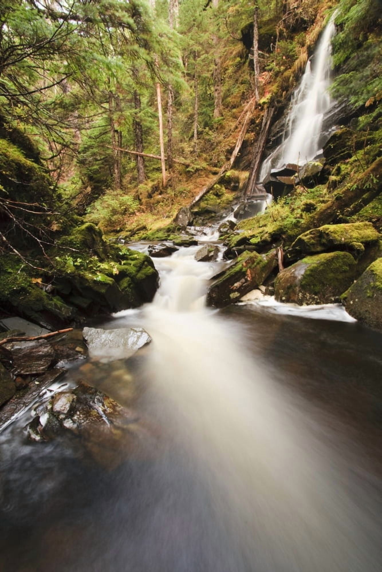 Waterfall On Institute Creek Wrangell Island Alaska Canvas Art - Quentin Smith Design Pics (12 x 19)