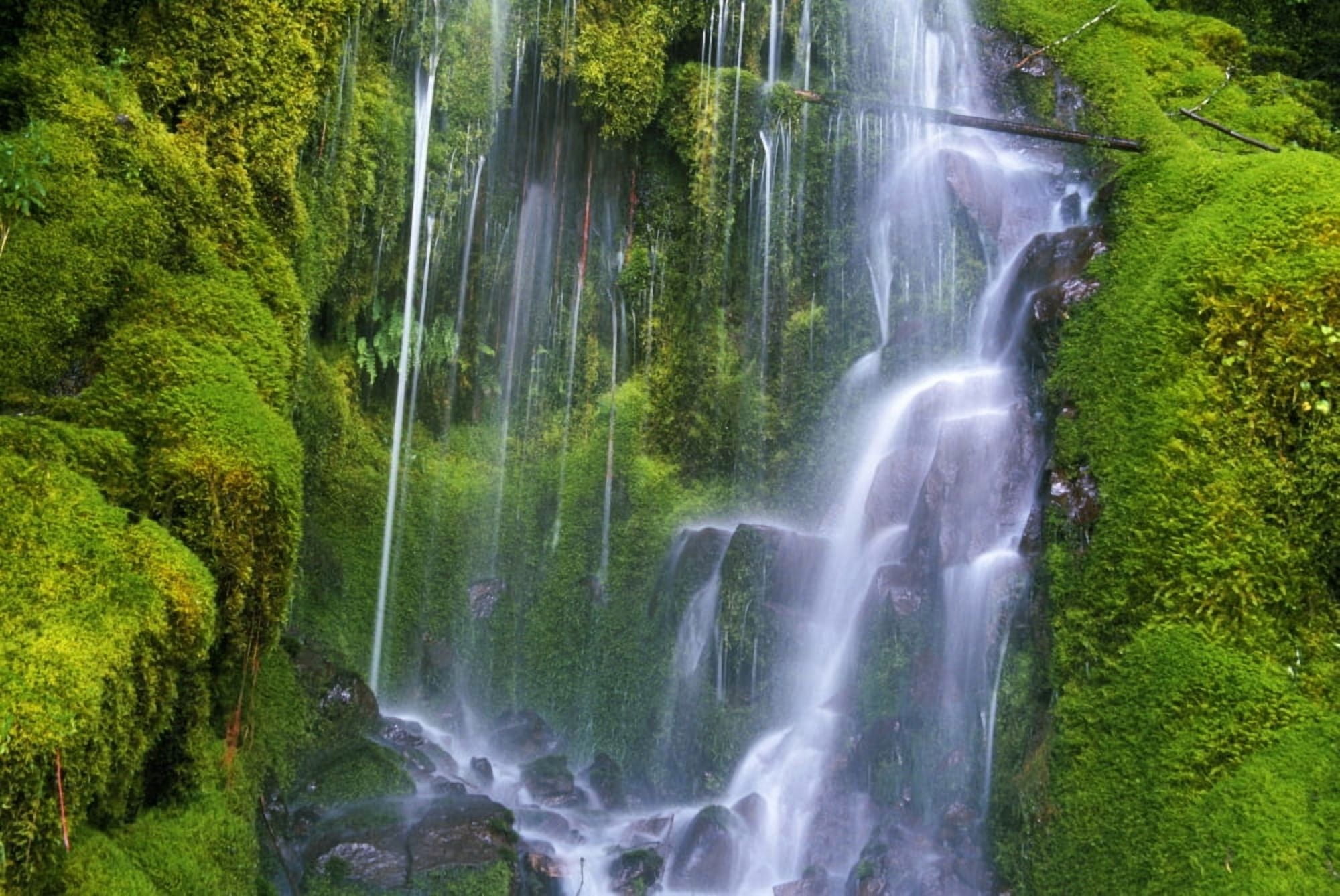 Waterfall Over Moss-Covered Rocks Canvas Art - Natural Selection Craig Tuttle Design Pics (18 x 12)