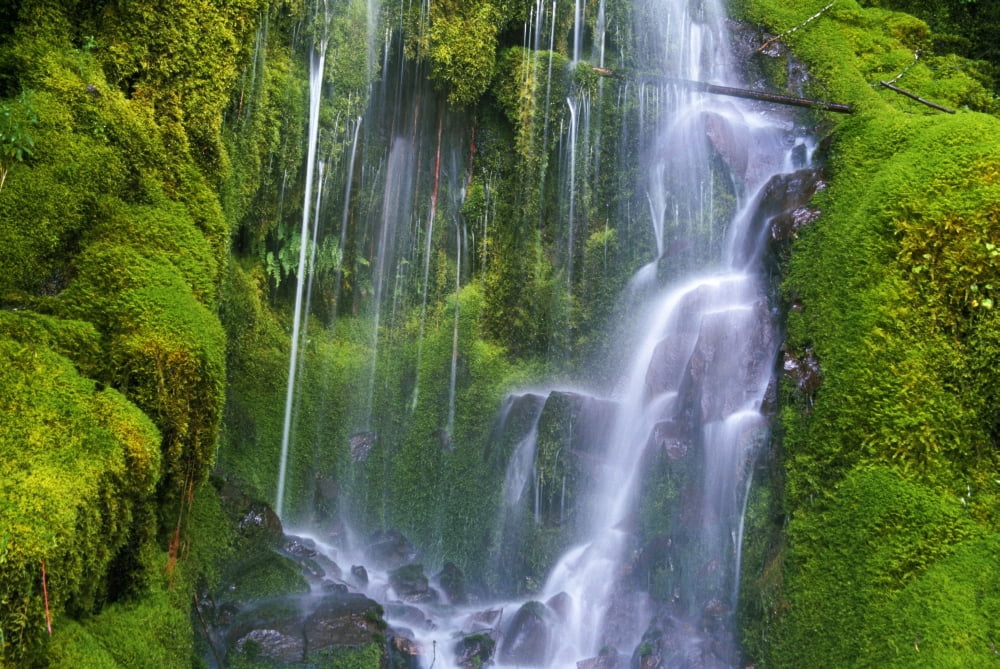 Waterfall Over Moss-Covered Rocks Canvas Art - Natural Selection Craig Tuttle Design Pics (36 x 24)