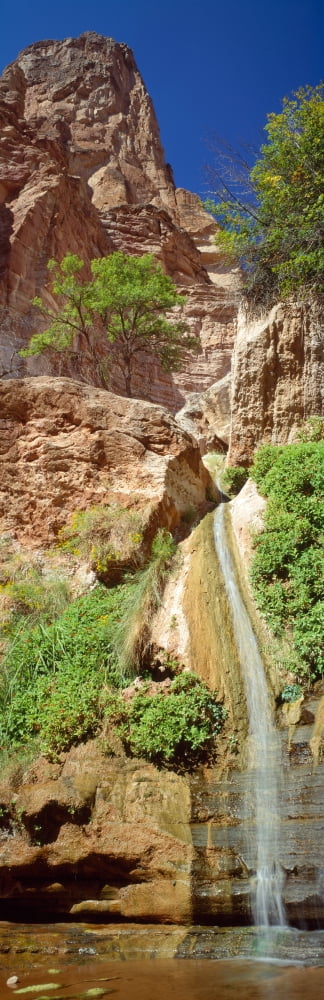 Waterfall Paradise Canyon Grand Canyon National Park Arizona USA Canvas Art - Panoramic Images (6 x 18)