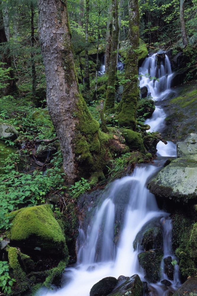 Waterfall Pouring Down Mountainside Canvas Art - Natural Selection Robert Cable Design Pics (12 x 18)