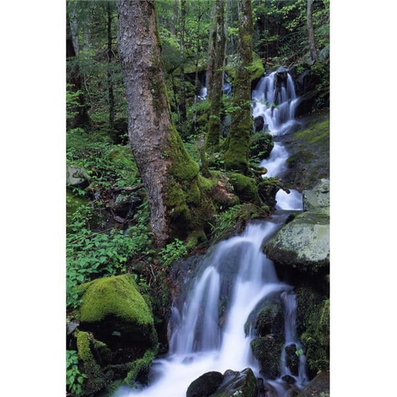 Waterfall Pouring Down Mountainside Poster Print by Natural Selection Robert Cable, 24 x 36 - Large