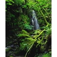 thumbnail image 1 of Waterfall Sloughan Glen Co Tyrone Ireland Poster Print by The Irish Image Collection - 13 x 16, 1 of 1
