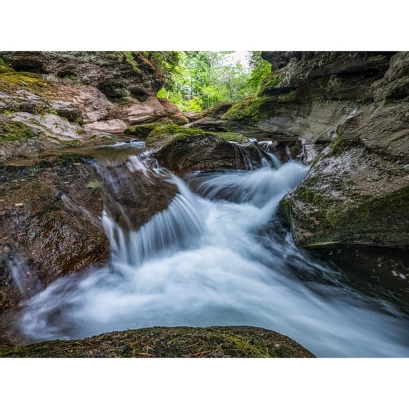 Waterfall and a tranquil stream in a forest; Saint John New Brunswick Canada Poster Print by Robert Postma12577851