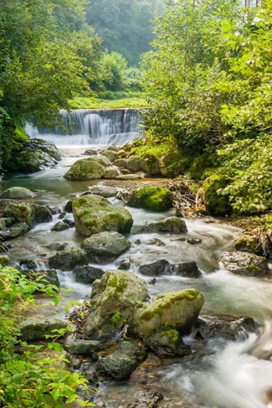 Waterfall and river Rize Black Sea region of Turkey Canvas Art - Ali Kabas DanitaDelimont (17 x 25)