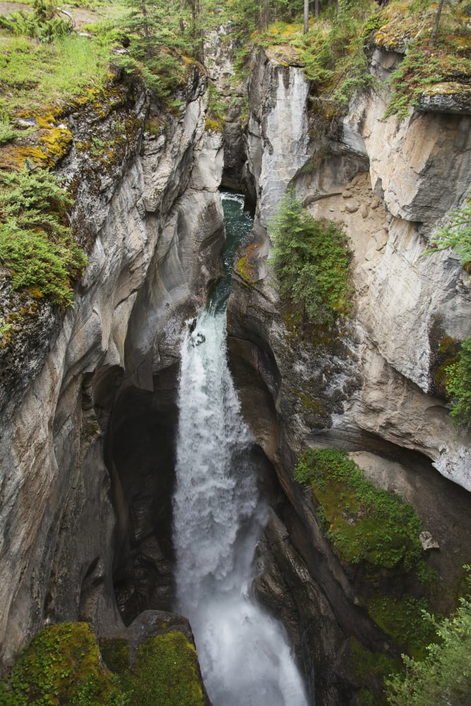 Waterfall at Maligne Canyon near Jasper Jasper National Park Alberta Canada Canvas Art - Carl Bruemmer Design Pics (12 x 19)