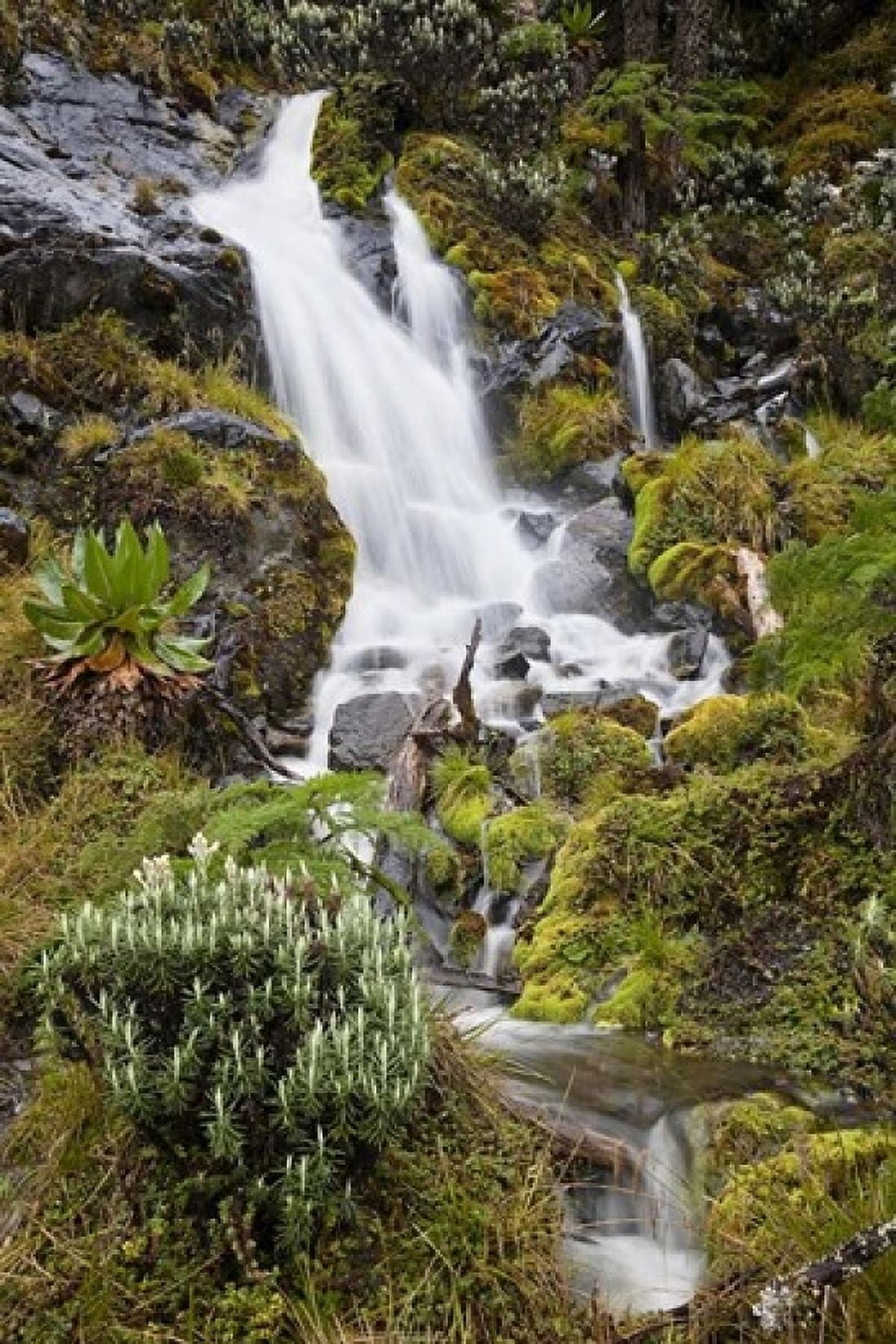 Waterfall at Mount Stanley Ruwenzori Uganda Canvas Art - Martin Zwick DanitaDelimont (18 x 24)