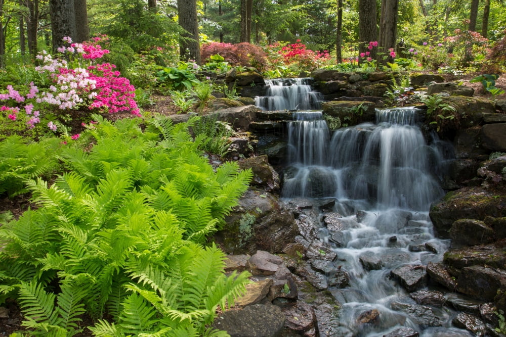 Waterfall with ferns and azaleas at Azalea Path Arboretum And Botanical Gardens Hazleton Gibson County Indiana USA Canvas Art - Panoramic Images (18 x 24)