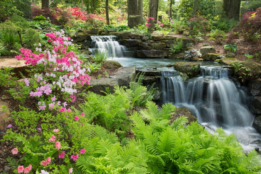 Waterfall with ferns and azaleas at Azalea Path Arboretum And Botanical Gardens Hazleton Gibson County Indiana USA Canvas Art - Panoramic Images (24 x 36)