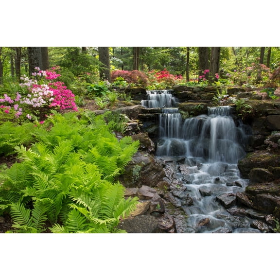 Waterfall with ferns and azaleas at Azalea Path Arboretum And Botanical Gardens Hazleton Gibson County Indiana USA Canvas Art - Panoramic Images (24 x 36)