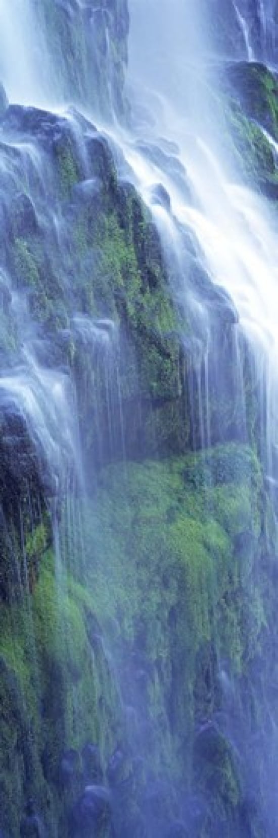Waterfall in a forest Proxy Falls Three Sisters Wilderness Area Willamette National Forest Lane County Oregon USA Canvas Art - Panoramic Images (36 x 12)