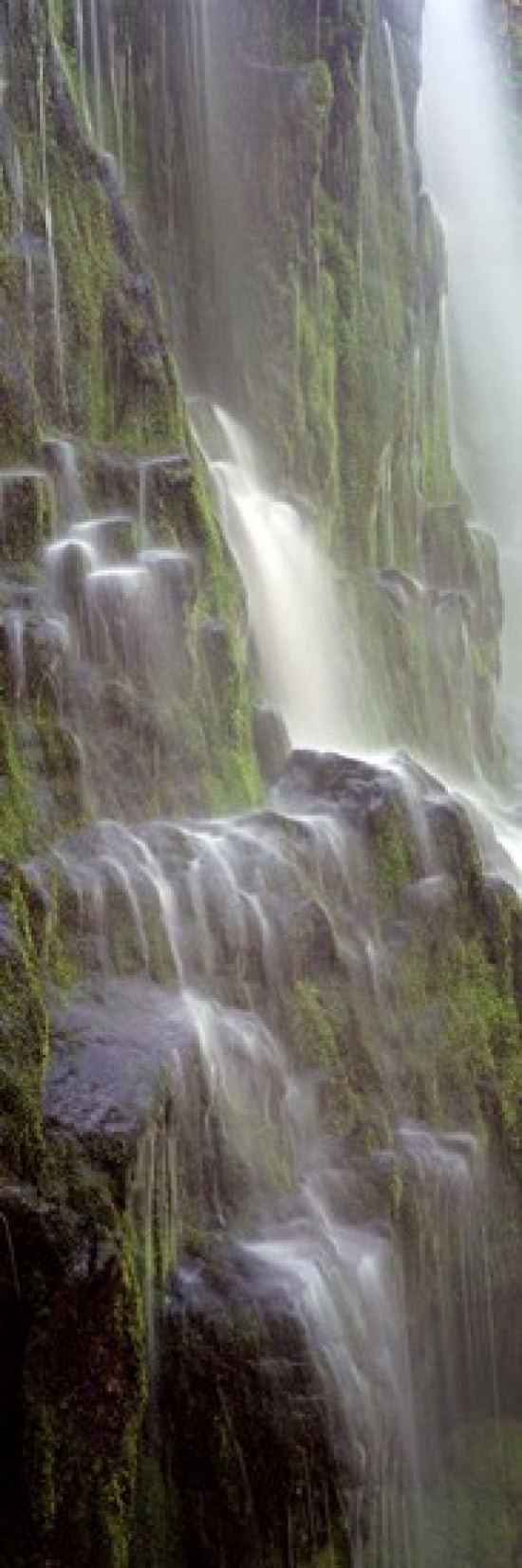 Waterfall in a forest Proxy Falls Three Sisters Wilderness Area Willamette National Forest Lane County Oregon USA Canvas Art - Panoramic Images (36 x 12)