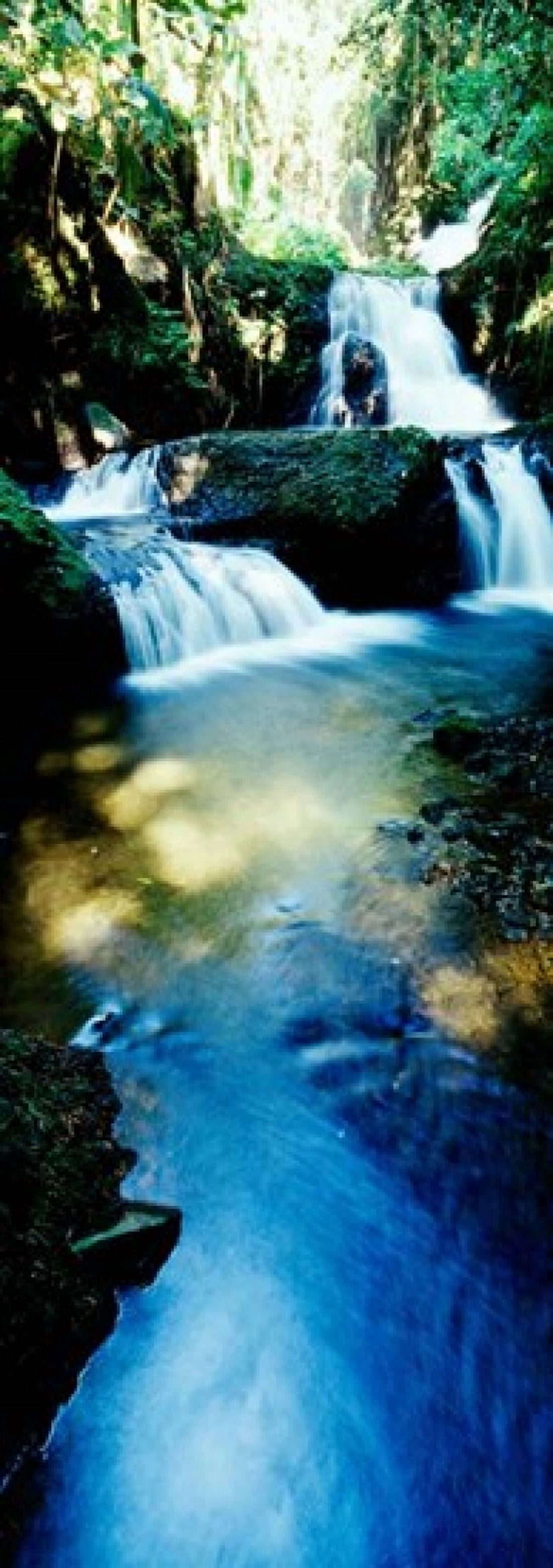 Waterfall in Hilo HI Canvas Art - Panoramic Images (12 x 34)