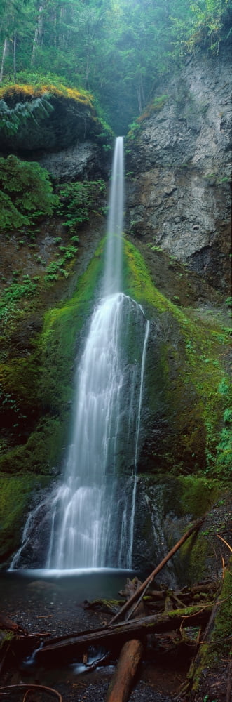 Waterfall in Olympic National Rainforest Canvas Art - Panoramic Images (36 x 12)