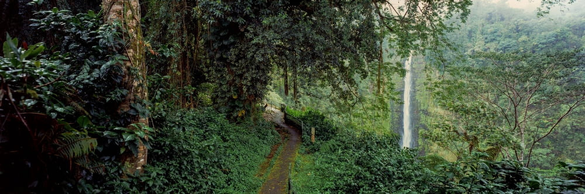 Waterfall in a forest Akaka Falls Akaka Falls State Park Hawaii County Hawaii USA Canvas Art - Panoramic Images (6 x 18)