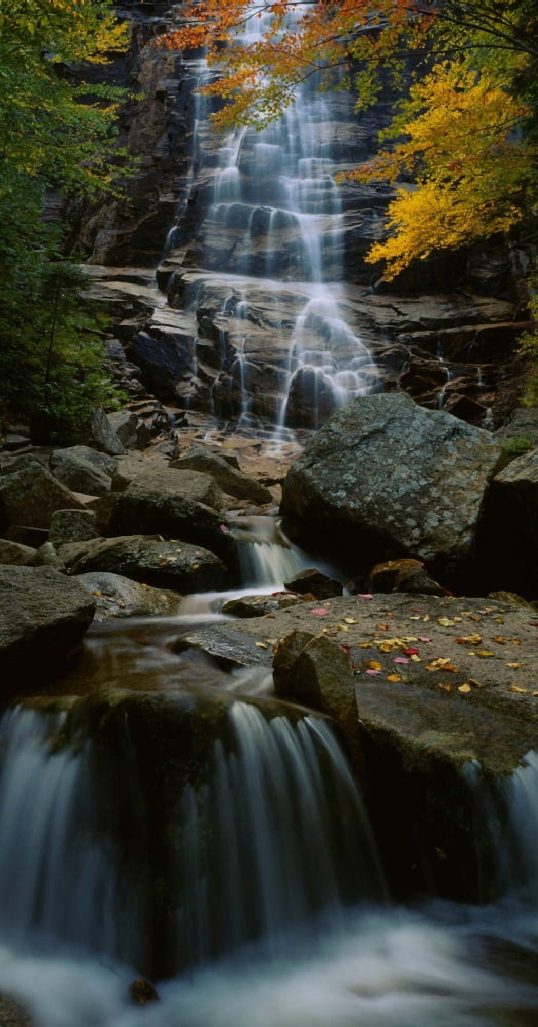 Waterfall in a forest Arethusa Falls Crawford Notch State Park New Hampshire New England USA Canvas Art - Panoramic Images (36 x 12)