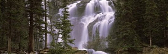 Waterfall in a forest Banff Alberta Canada Canvas Art - Panoramic Images (36 x 12)