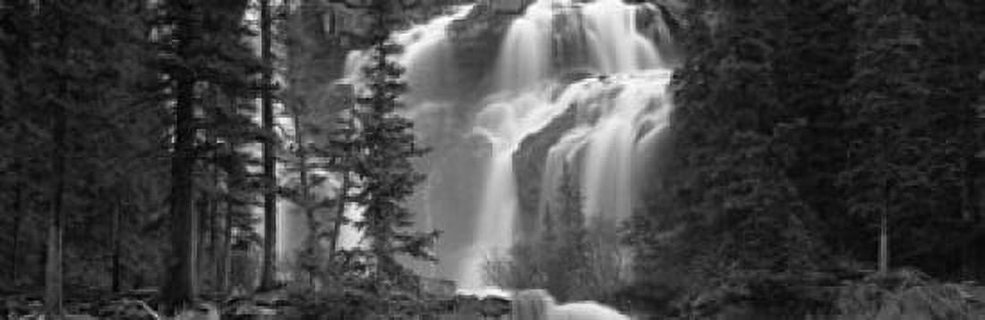 Waterfall in a forest Banff Alberta Canada Canvas Art - Panoramic Images (36 x 12)