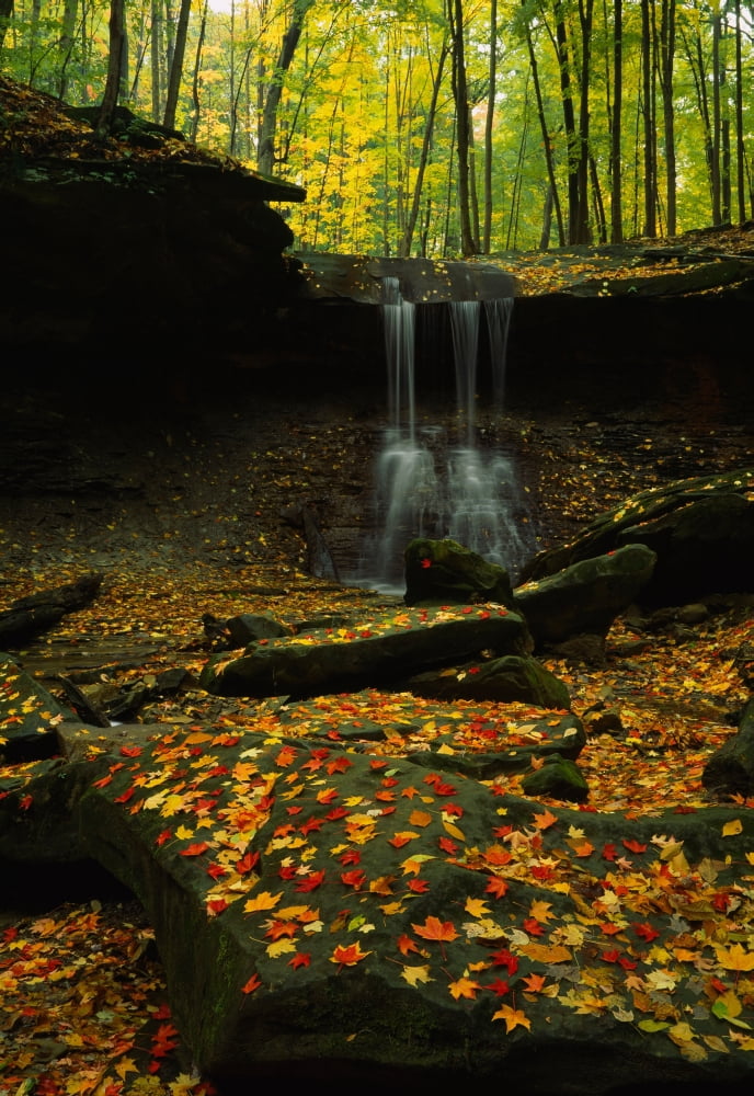 Waterfall in a forest Blue Hen Falls Cuyahoga Valley National Park Ohio USA Canvas Art - Panoramic Images (19 x 27)