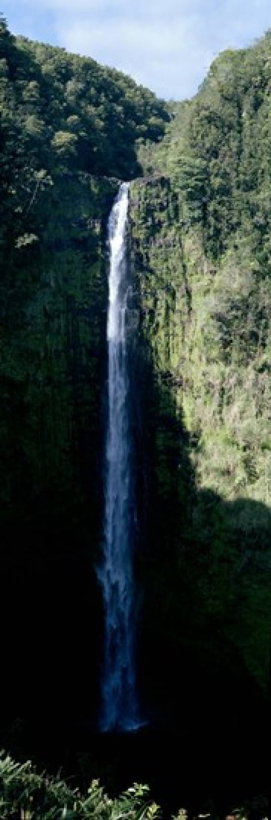Waterfall in a forest Canvas Art - Panoramic Images (36 x 12)