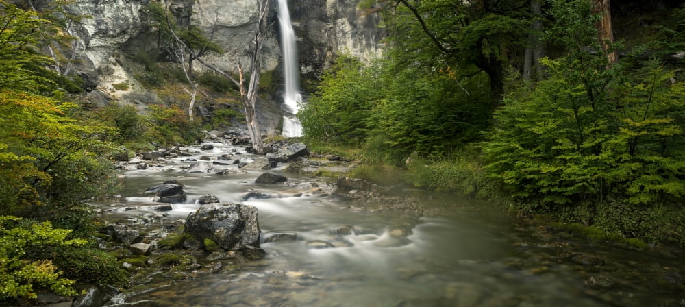 Waterfall in a forest Chalten Argentine Glaciers National Park Santa Cruz Province Patagonia Argentina Canvas Art - Panoramic Images (16 x 36)