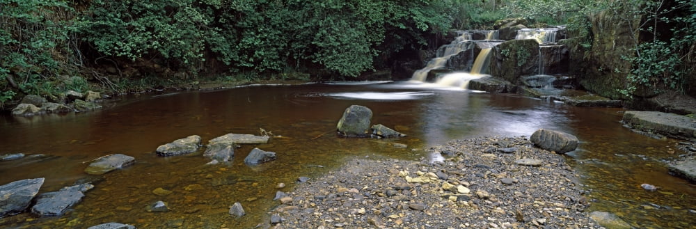 Waterfall in a forest Cheviot Hills Northumberland England Canvas Art - Panoramic Images (36 x 12)