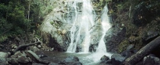 Waterfall in a forest Chiang Mai Thailand Canvas Art - Panoramic Images (30 x 13)