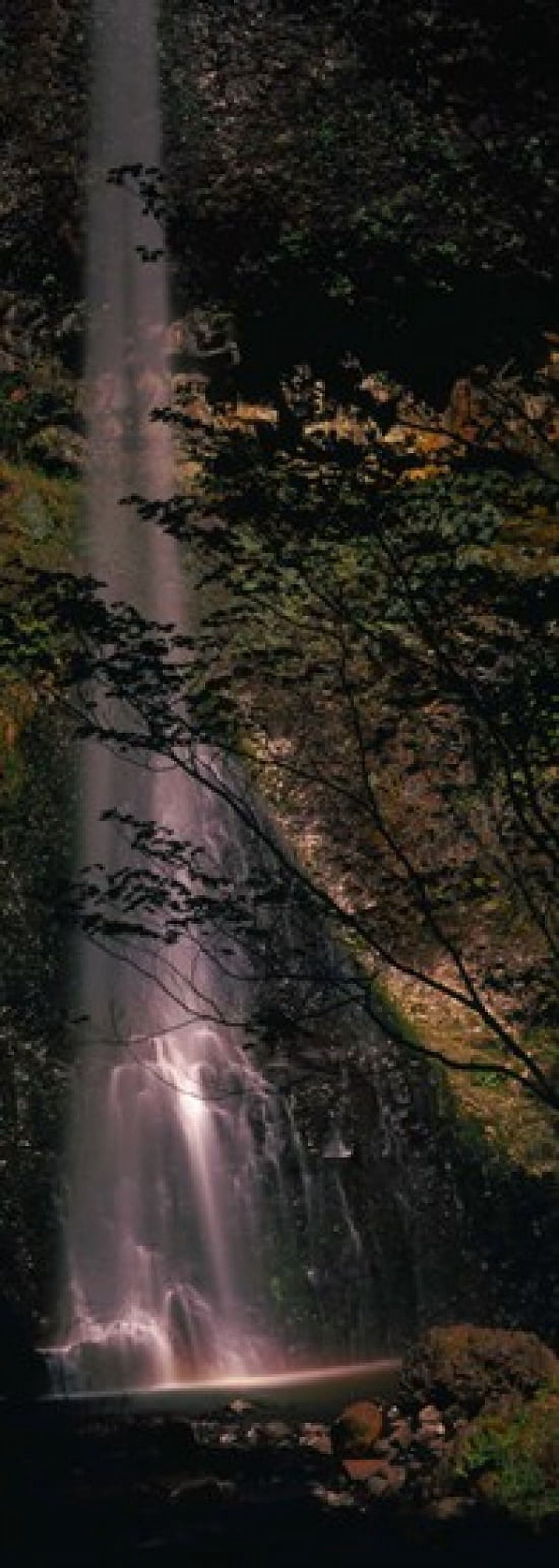 Waterfall in a forest Columbia Gorge Oregon USA Canvas Art - Panoramic Images (18 x 7)