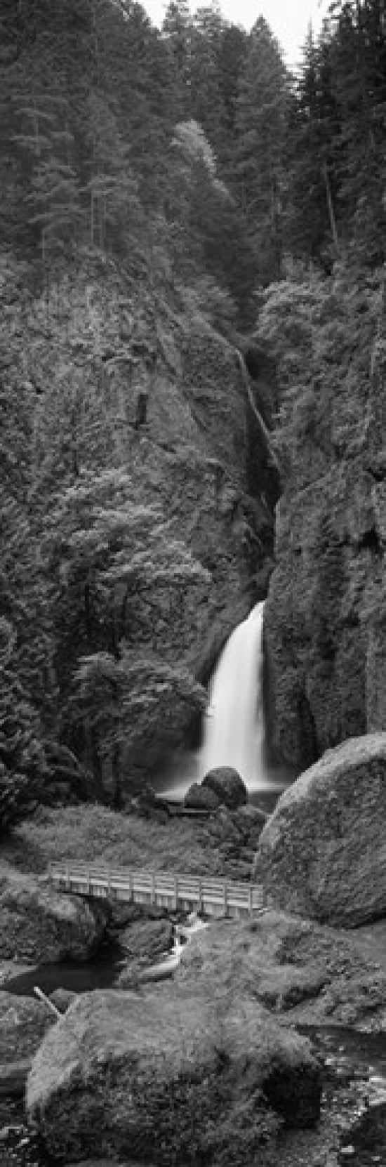 Waterfall in a forest Columbia River Gorge Oregon USA Canvas Art - Panoramic Images (18 x 6)