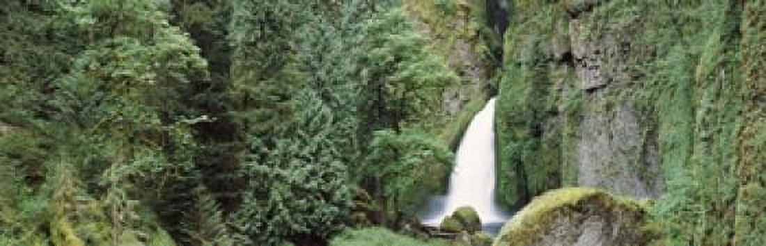 Waterfall in a forest Columbia River Gorge Oregon USA Canvas Art - Panoramic Images (18 x 6)