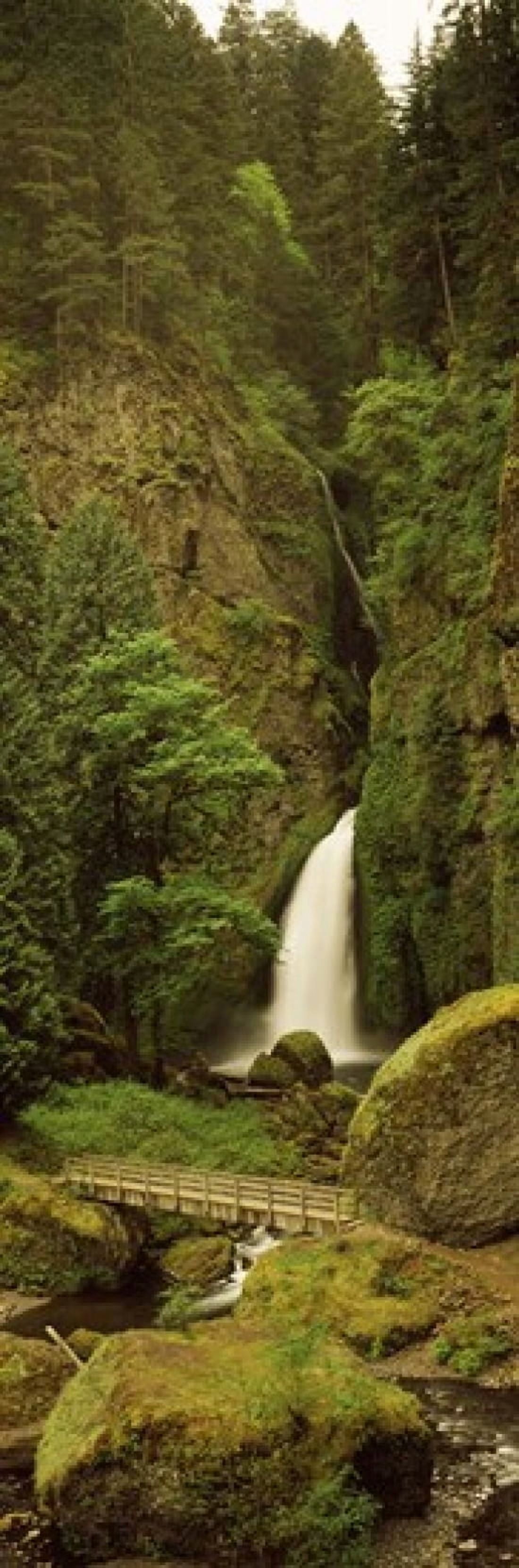 Waterfall in a forest Columbia River Gorge Oregon USA Canvas Art - Panoramic Images (18 x 6)