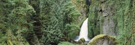 Waterfall in a forest Columbia River Gorge Oregon USA Canvas Art - Panoramic Images (36 x 12)