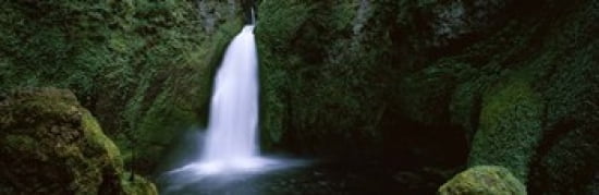 Waterfall in a forest Columbia River Gorge Oregon USA Canvas Art - Panoramic Images (36 x 12)