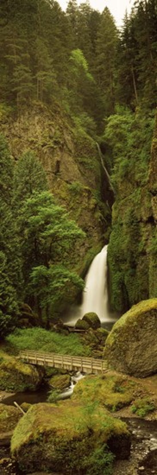 Waterfall in a forest Columbia River Gorge Oregon USA Canvas Art - Panoramic Images (36 x 12)